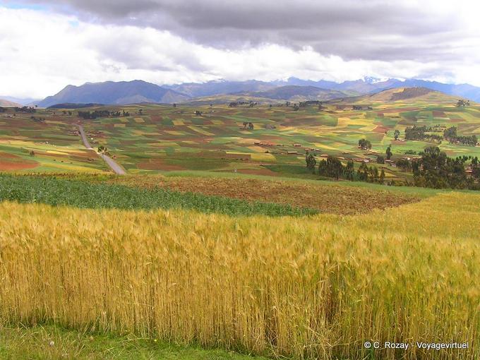 Farbe Mosaik von Feldern, um realisiert Chinchero -Peru