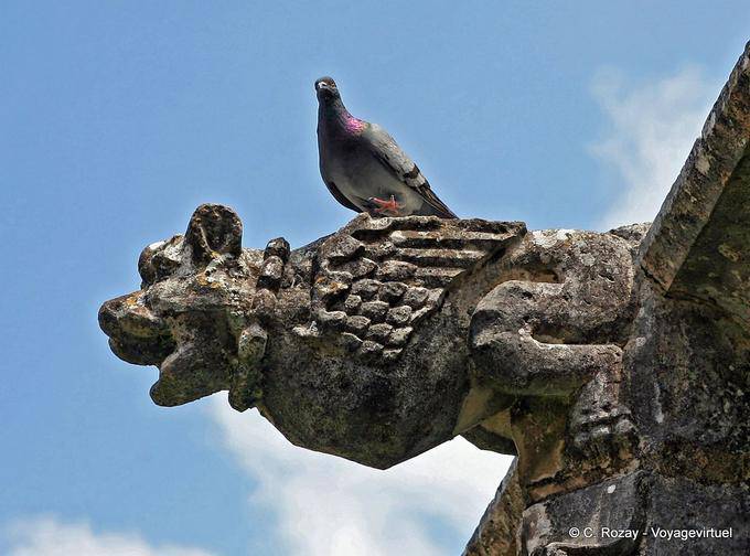 Gargoyle Taube, Alcobaça - Portugal