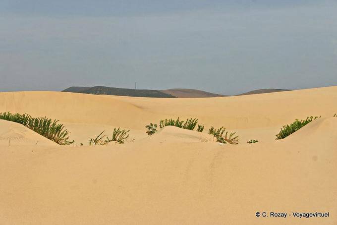 Zwischen den Sanddünen, Carrapateira - Portugal