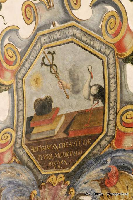 Medizinische Fakultät, (altissimus creavit terra medicinam), Coimbra - Portugal
