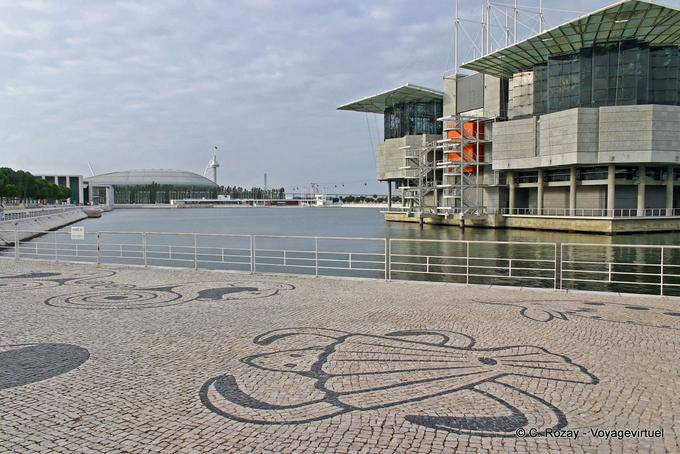 Das große Becken am Fuße des Ozeanarium Lissabon - Portugal