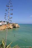 Das Symbol der Algarve und Klippen von Carvoeiro, Portugal.