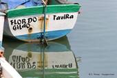 Flor do Gilao, Reflexion im Fluss, Tavira, Portugal.