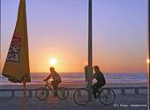 Sonnenuntergang auf Av. António Augusto Almeida Valente, Torreira, Portugal.