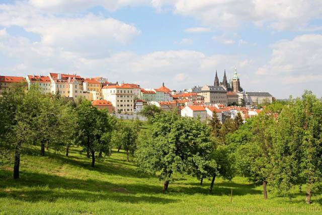 Malá Strana, les arbres de la Colline de Petrin - Prag, Tschechische Republik