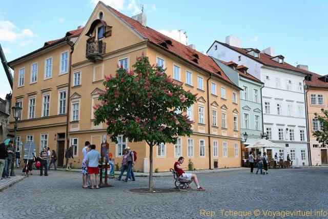 L'arbre en fleurs sur la place, Na Kampe, Malá Strana - Prag, Tschechische Republik