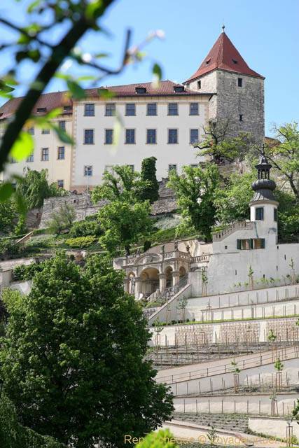 Valdstenjska, cultures en espaliers - Prag, Tschechische Republik