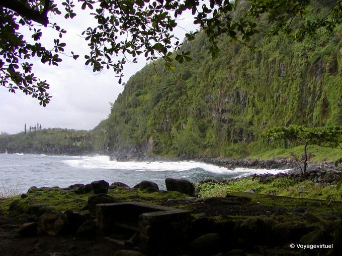 Die grünen Klippen von Anse des Cascades - Insel Reunion