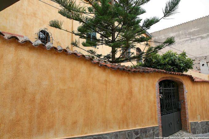 Orosei, Wand und Araucaria - Sardinien
