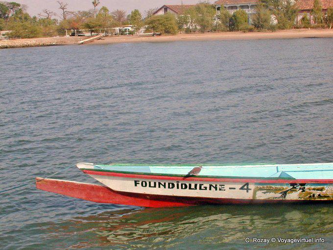 Pirogue auf Vogel Foundiougne - Senegal