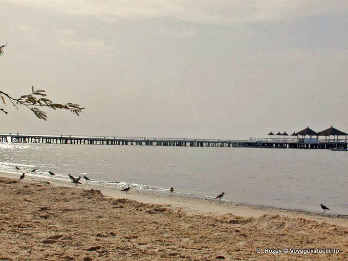 Beach Pier auf der Sine Saloum - Senegal