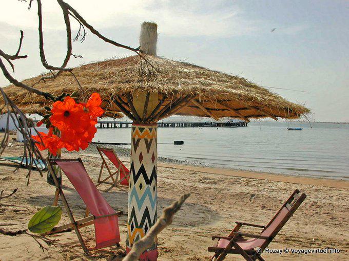 Hibiscus am Strand Foundiougne - Senegal
