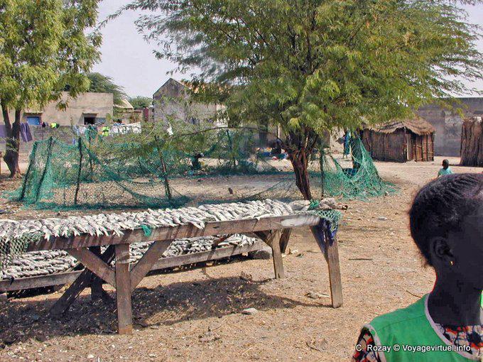 Auf Gestellen Saloum Fisch Sonne getrocknet - Senegal
