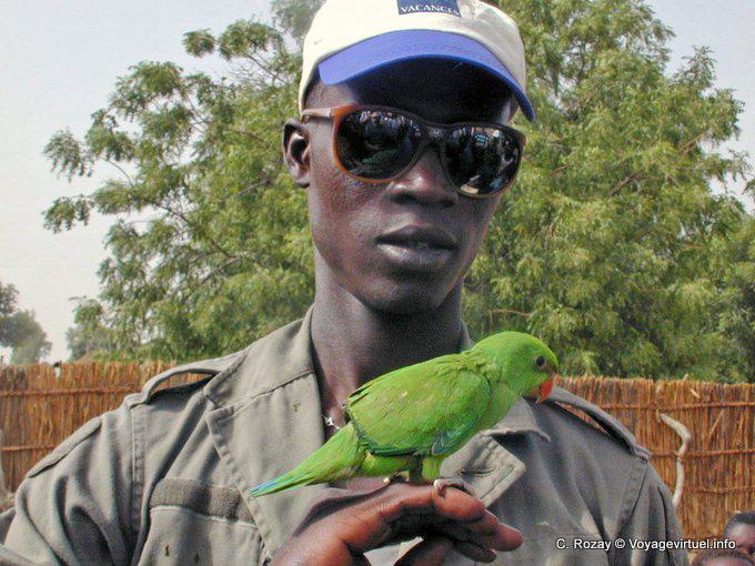 Die Führung und die kleinen grünen Papagei - Senegal