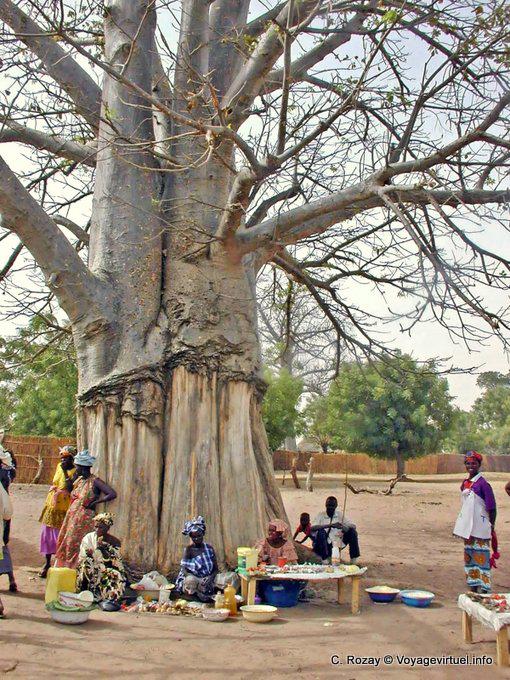 Kleine lokalen Markt am Fuße des riesigen Baum Buschdorf - Senegal