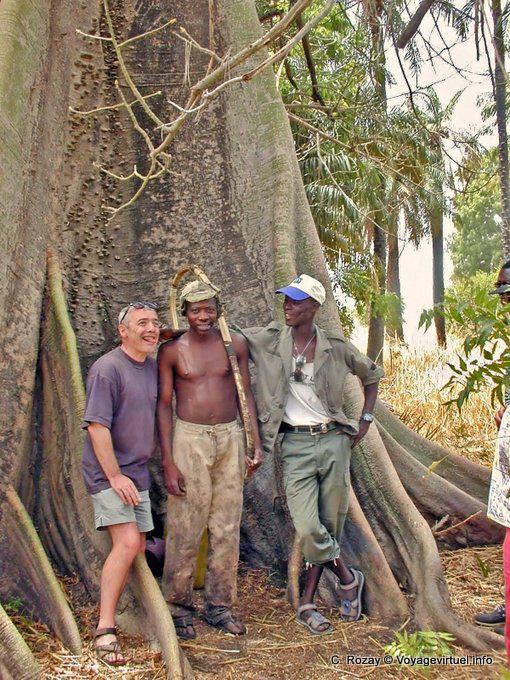 Am Fuße des meinem Baum, aus den Wurzeln von Käse - Senegal