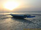 An den Ufern des Sine Saloum, Senegal.