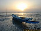 Barque lange Nase in der Sonne Sine Saloum, Senegal.
