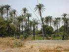 Slice-Kampagne in den Ländern des Saloum Delta, Senegal.