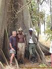 Am Fuße des meinem Baum, aus den Wurzeln von Käse, Senegal.