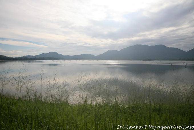 Ruhiger Morgen auf dem See von der Straße Kandalama Dambulla gesehen - Sri Lanka