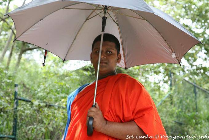 Monk Schirm, Dambulla - Sri Lanka