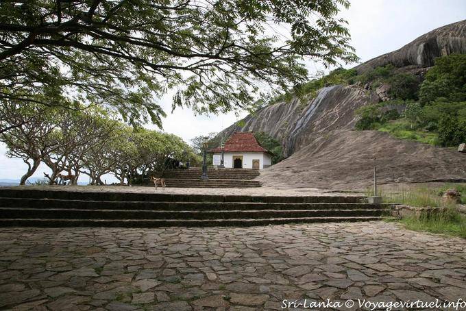 Stufen zum Eingang Maha Viharaya Raja, Dambulla - Sri Lanka