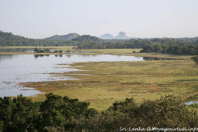 Landschaft rund um das Heritance Kandalama, Dambulla - Sri Lanka