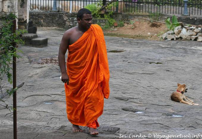 Mönch in seiner Robe Safran, Gadaladeniya Tempel in Kandy - Sri Lanka