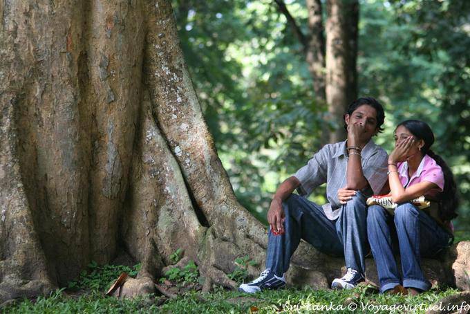 Geliebte auf Wurzeln eines Baumes, Royal Botanic Gardens, Peradeniya - Sri Lanka