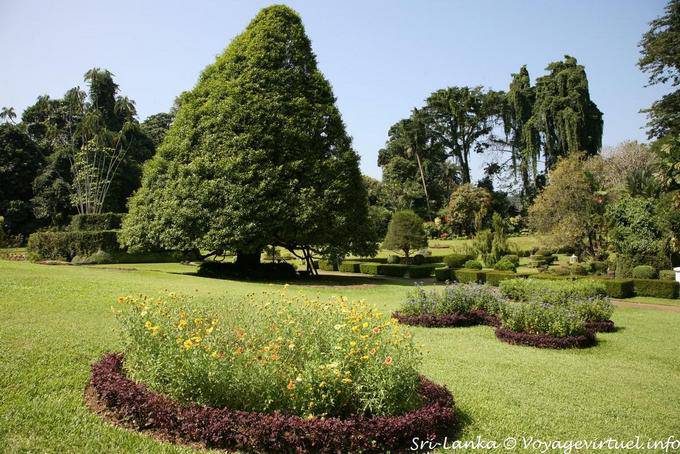 Blumenbeete und Baumartenvielfalt, Royal Botanic Gardens, Peradeniya - Sri Lanka