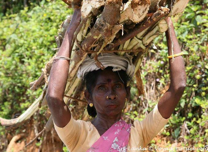 Anschluss am Kopf und Auge der Frau Kalugala - Sri Lanka