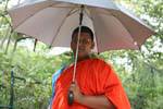 Monk Schirm, Dambulla, Sri Lanka.