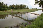 Überqueren einer fragilen Holzbrücke Fußgänger, Straßen Batukotuwa, Sri Lanka.