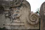 Lustige Löwen auf dem Geländer der Vatadage Temple, Polonnaruwa, Sri Lanka.