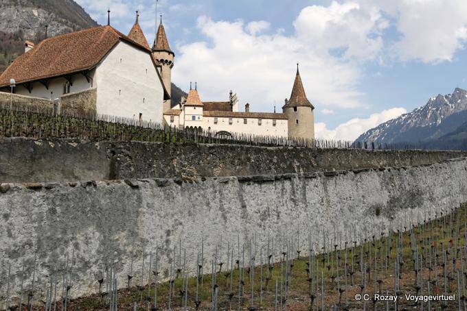 Berge, Weinberge und Schloss Aigle - Die Schweiz