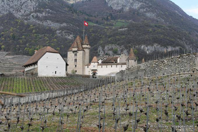 Blick auf das Schloss von Aigle aus den umliegenden Weinbergen - Die Schweiz