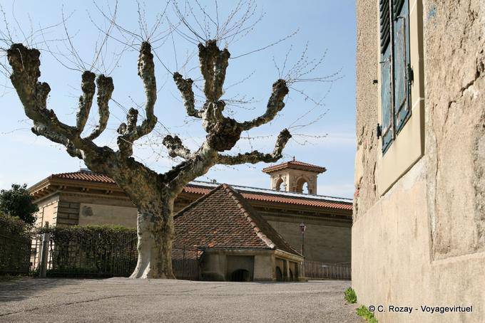 Baum und Gebäude rund um die Burg des Bistums, Lausanne - Die Schweiz