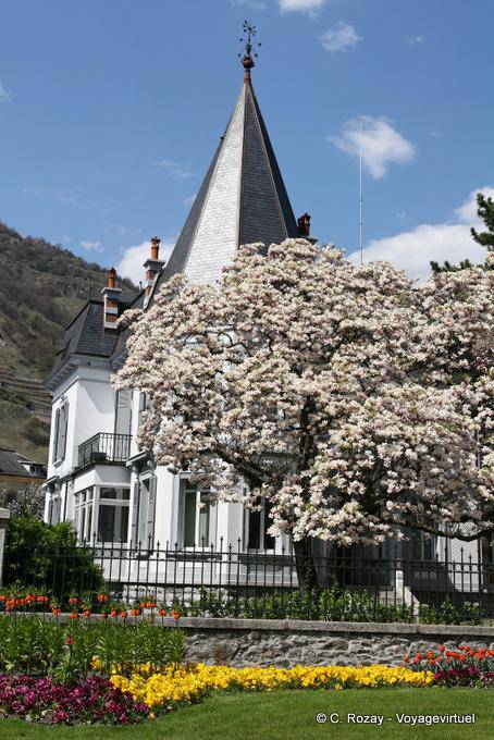 Frühlingsblumen in Martigny - Die Schweiz