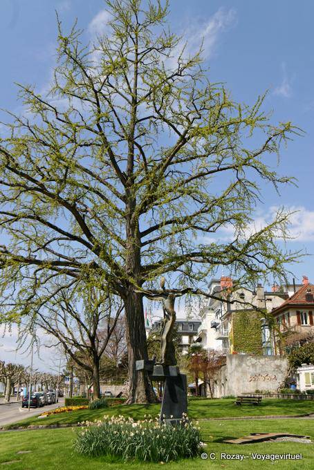 Der Baum und Skulptur, Perdonnet Pier, Vevey - Die Schweiz