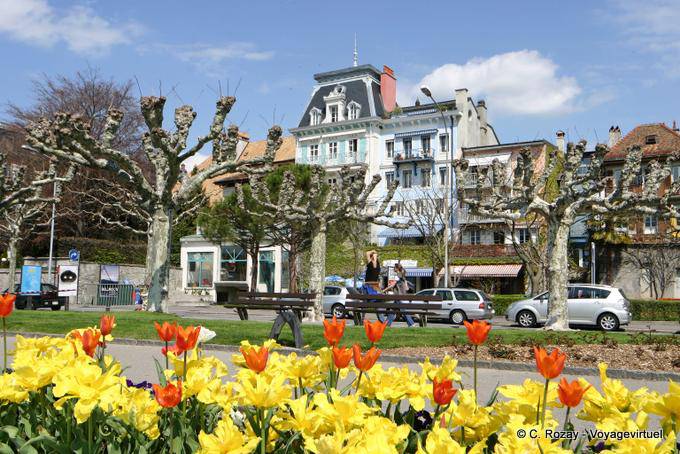 Tulpen auf dem Quai Perdonnet, Vevey - Die Schweiz