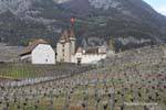 Blick auf das Schloss von Aigle aus den umliegenden Weinbergen, Die Schweiz.