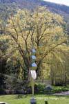 Brancusi, der große Hahn, Skulptur, Gianadda Stiftung, Die Schweiz.