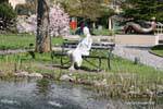George Segal Skulptur hinter den Brunnen, Frau auf einer Bank Gianadda, Die Schweiz.