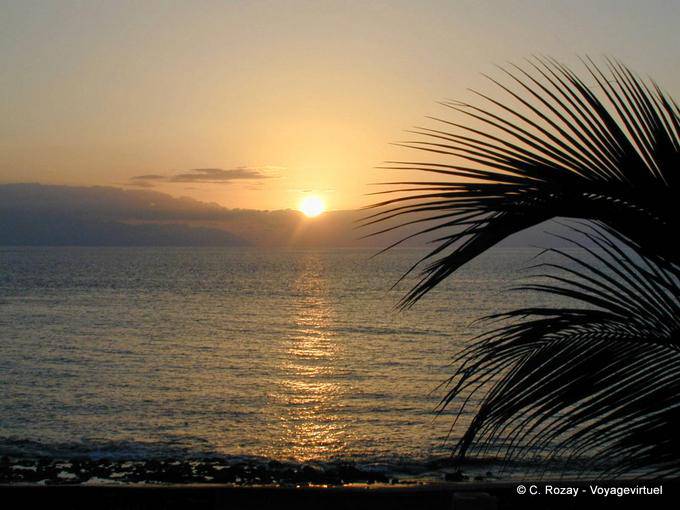 Sol Arena, Sonnenuntergang, Teneriffa