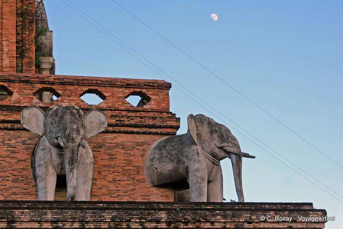 Elefanten und Mond, Wat Chedi Luang, Chiang Mai - Thailand