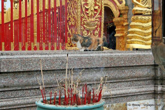 Chat und Weihrauch, Wat Doi Suthep, Chiang Mai - Thailand