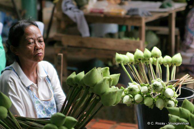 Lotus, Erstellung von Angeboten, Wat Doi Suthep, Chiang Mai - Thailand