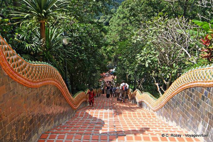 Roter Teppich, Wat Doi Suthep, Chiang Mai - Thailand