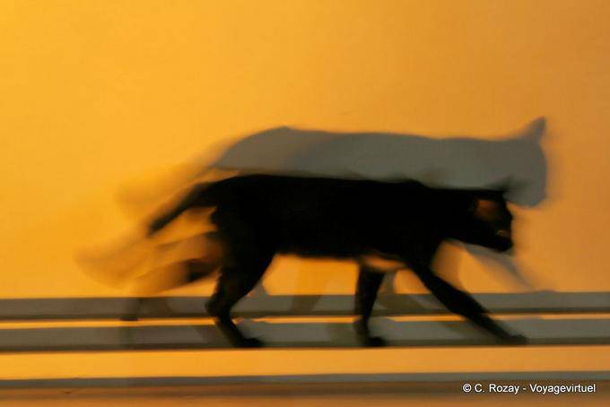 Chat Nachtleben, Wat Phra Singh in Chiang Mai - Thailand